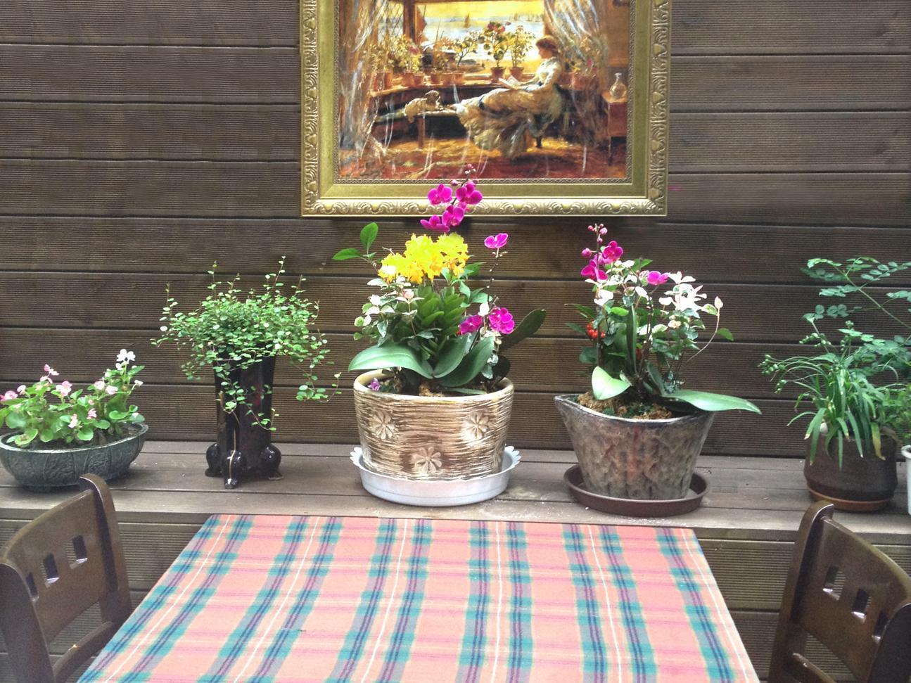 Petercat Hotel Insadong Seoul Bagian luar foto