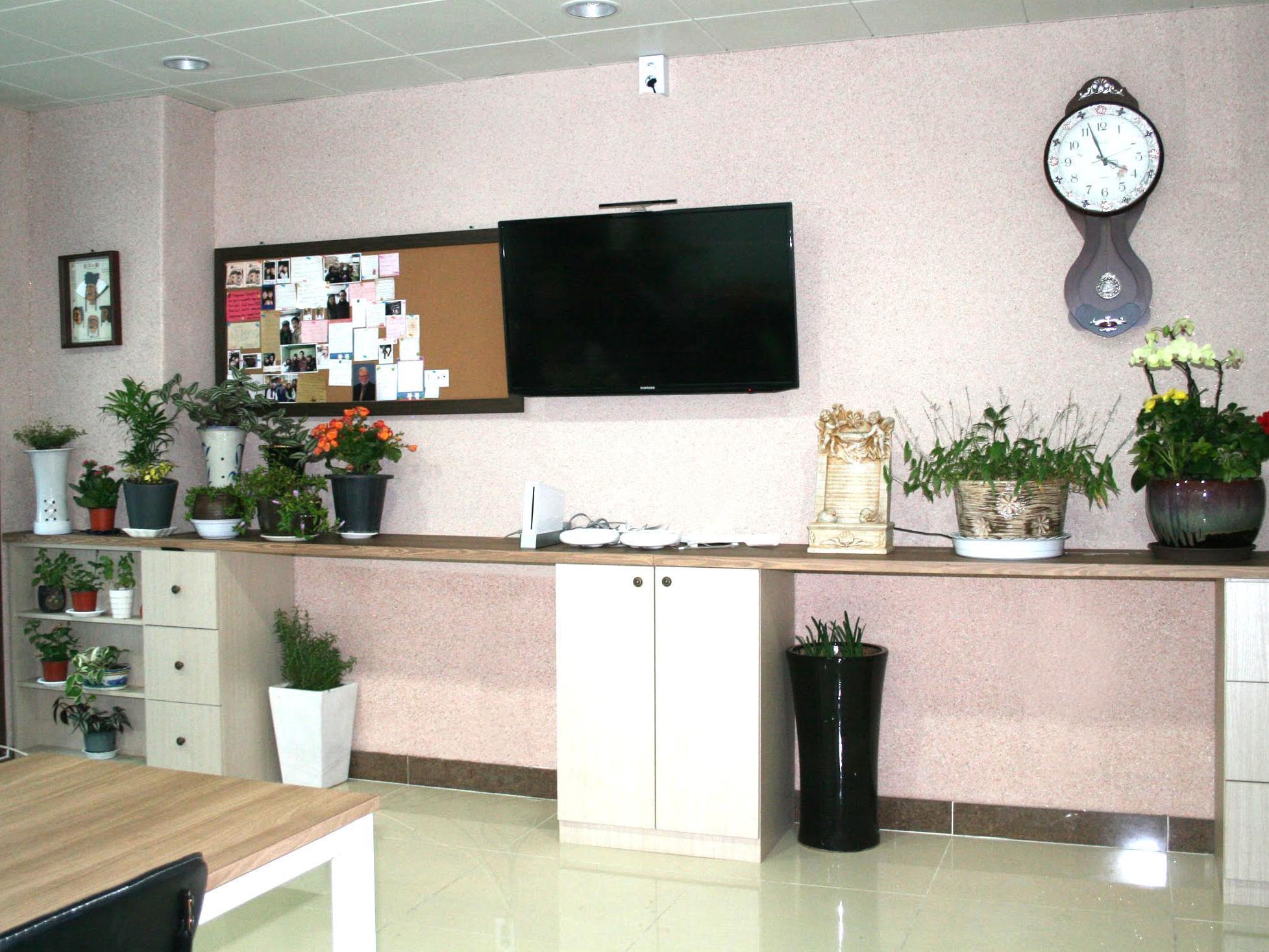 Petercat Hotel Insadong Seoul Bagian luar foto
